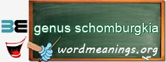 WordMeaning blackboard for genus schomburgkia
